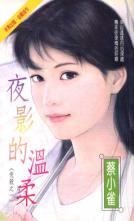 ҹӰ������