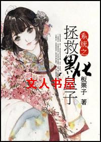 ϵͳ֮���Ⱥڻ�����