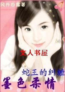 īɫ����:���������ľ���