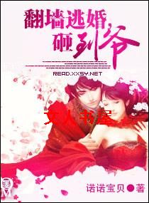 ��ǽ�ӻ�,�ҵ�ү����