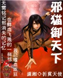 аè�����·���